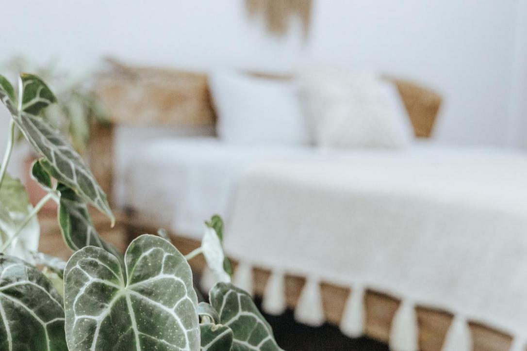 Bed and Breakfast Surf & Yoga Bali Dalung  Zewnętrze zdjęcie